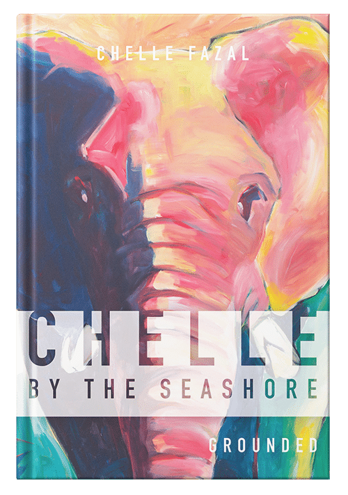 Books Published By Palmetto Publishing Group Self-Publishing Genres | Book Industries | Palmetto Publishing