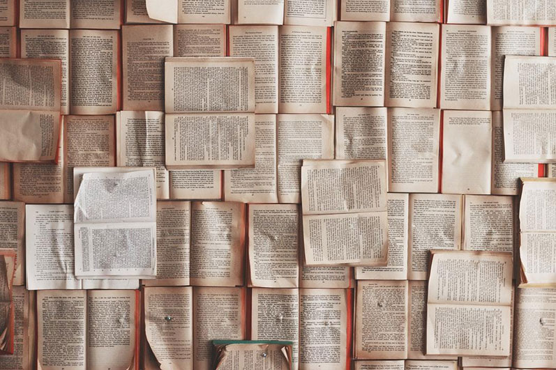 Guide to the best Book Layout, Palmetto Publishing