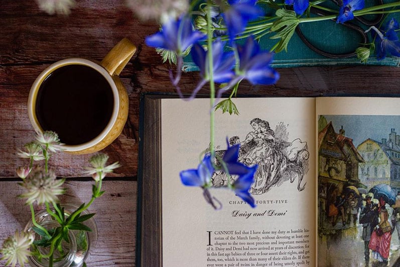 Ultimate Book Layout Guide from Palmetto Publishing
