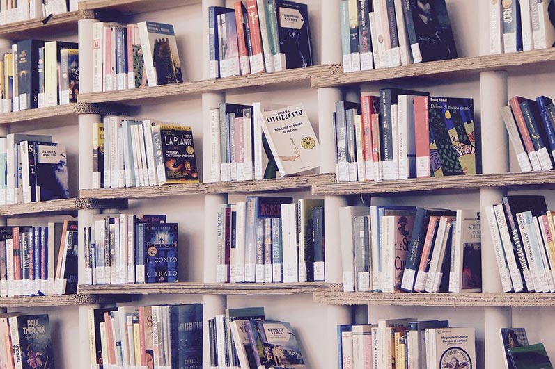 Palmetto Publishing book editing services