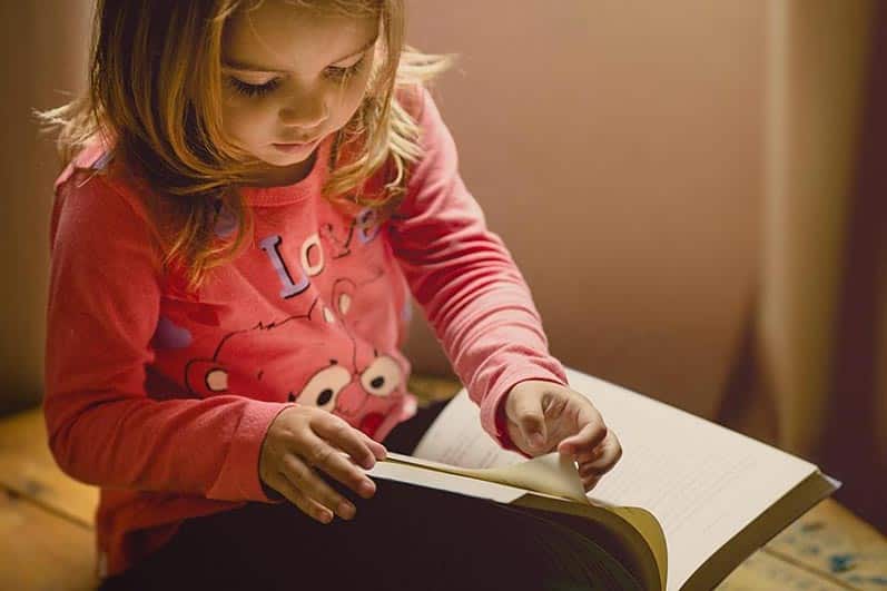 Children's book genre information from Palmetto Publishing.
