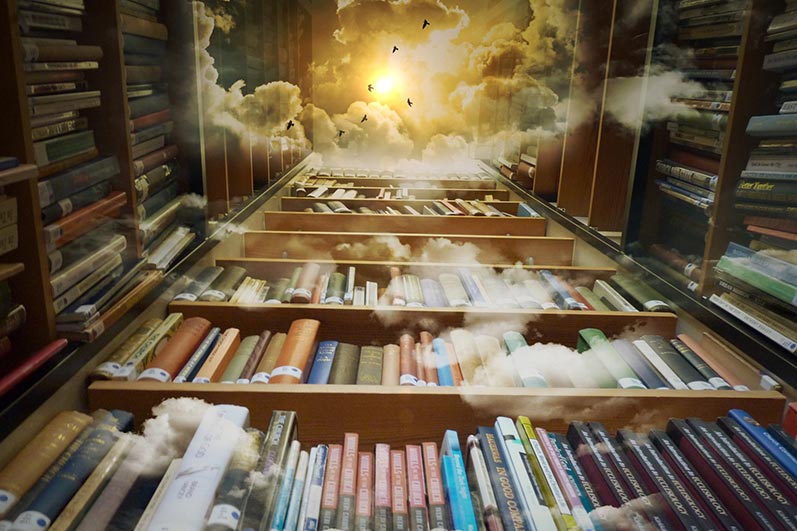 What is the Fiction Genre, from Palmetto Publishing