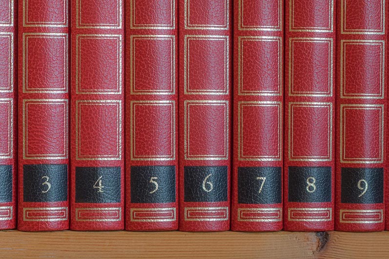 Non-fiction book publishing from Palmetto Publishing.
