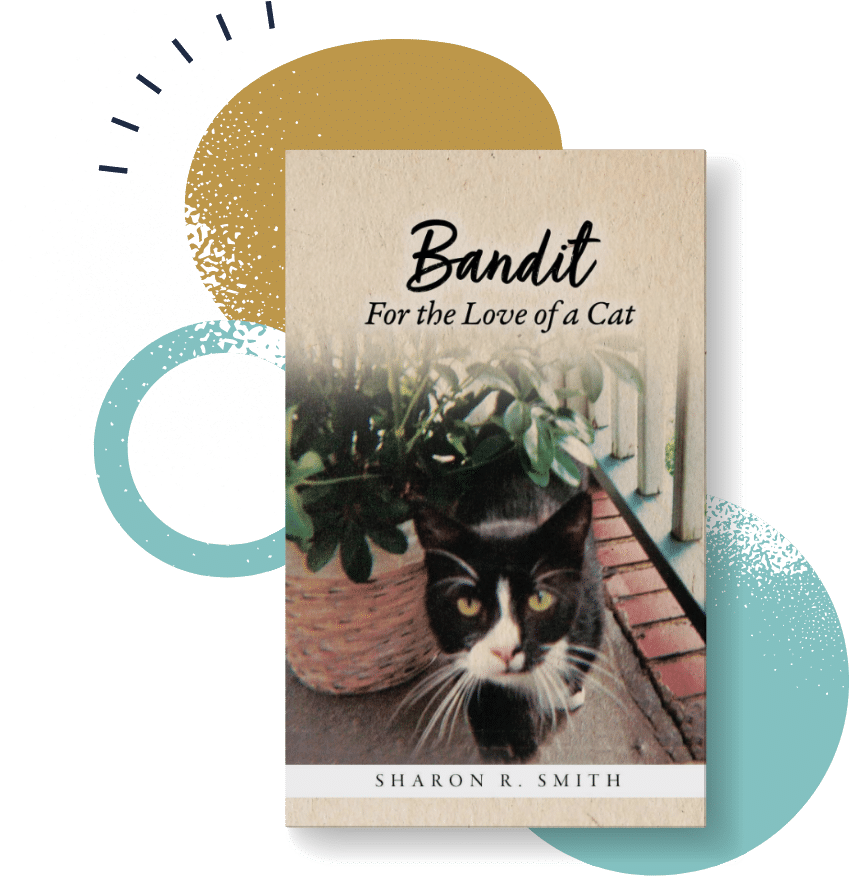 Bandit For the Love of a Cat