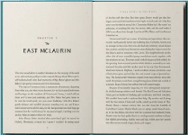 Book with custom Palmetto Interior Design